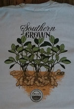 Load image into Gallery viewer, Southern Grown Peanut Row
